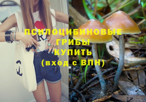 кокс Заводоуковск